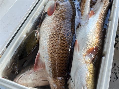 ROJAS FISHING CHARTERS (2025) All You Need to Know BEFORE You Go (with ...