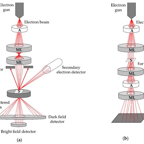 Image result for Scanning Electron Microscope Working