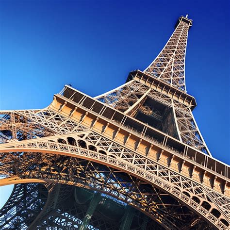 Eiffel Tower At Night Landscape