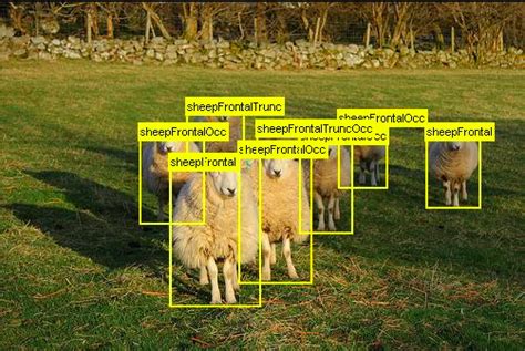 Best object detection datasets in 2024 — Picsellia
