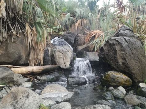 Awash National Park Photos - Featured Images of Awash National Park ...