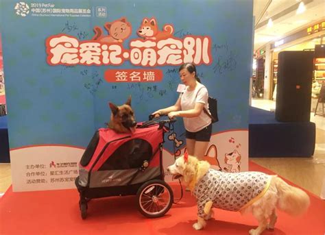 2019第22届亚洲宠物展展后报告一览- 上海本地宝