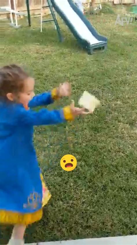 AFV Pool Fails 的图像结果