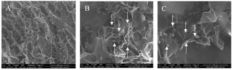 Collagen/Gelatin/Hydroxyethyl Cellulose Composites Containing ...