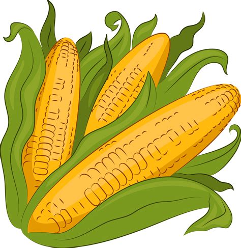 Free Corn, Download Free Corn png images, Free ClipArts on Clipart Library