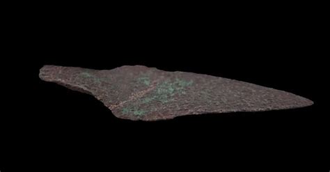 Археологи в Польше нашли в лесу медный кинжал в возрасте более 4000 лет ...