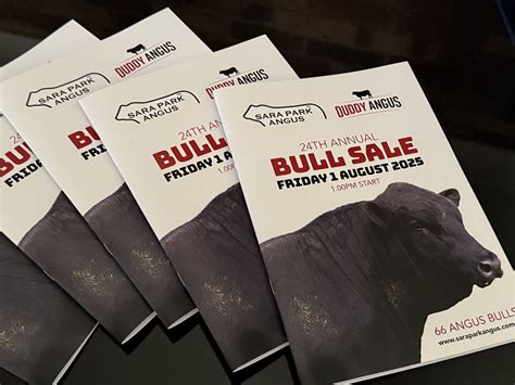 Sara Park Angus | Glen Innes NSW