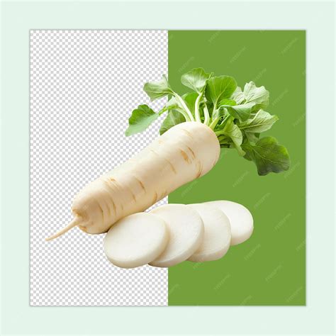 Daikon Radish isolated Mooli white radish PSD Daikon Radish Sliced and ...