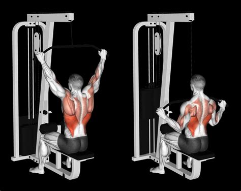 Cable Lat Pulldown (Wide Grip): Guide, Muscles Worked, Tips | Athlemove