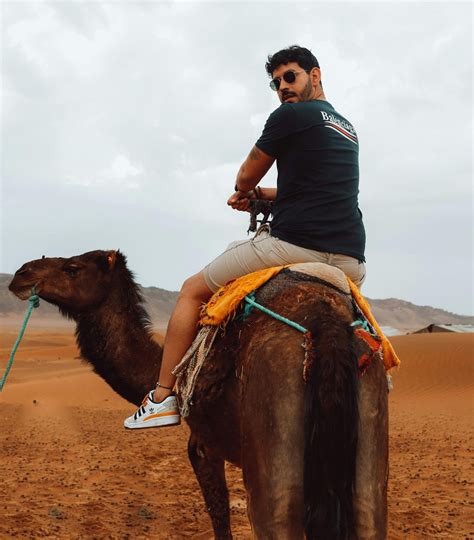Camel Ride in Panchkula - Book Now @ Rs.119 (21% off)