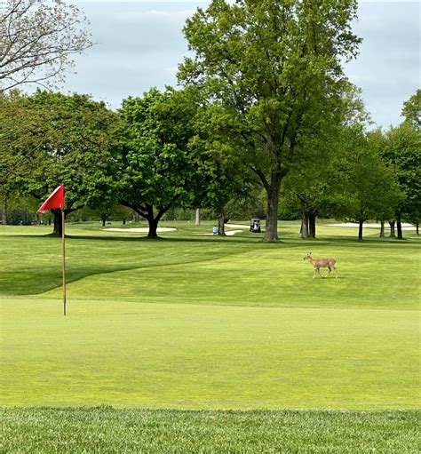 Nicky Fiorentino | An amazing day at an absolutely perfect golf course ...