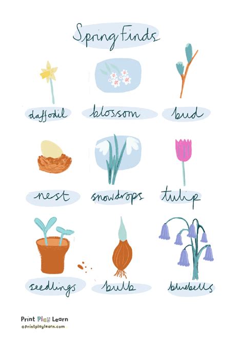 Image result for KS1 Signs of Spring