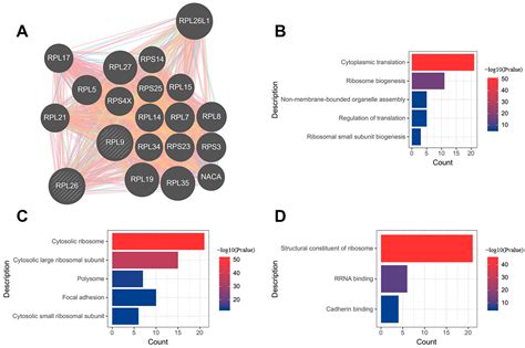 The Identification and Validation of Hub Genes Associated with Acute ...