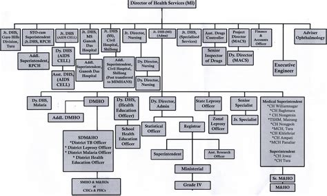 DHS Medical Institutions Organisational Structure | Department of ...