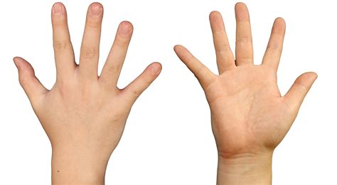 Image result for High-Resolution Hand MRI