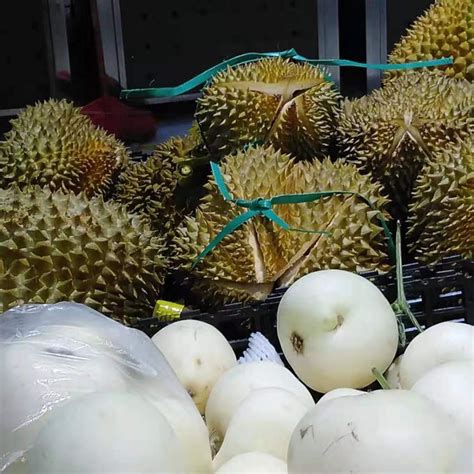 泰国巴掌榴莲2-3斤 小榴莲树上熟东南亚水果批发一件代发-阿里巴巴
