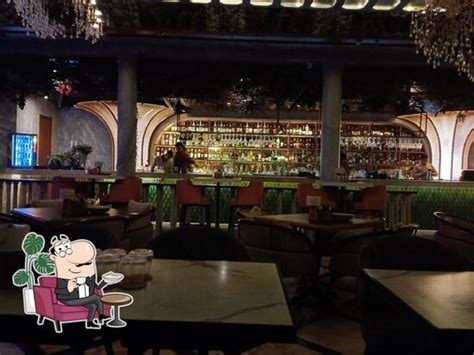 Birch By Romeo Lane Restaurant - Pacific Mall, New Delhi - Restaurant ...