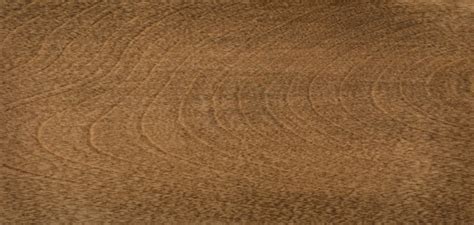 Image result for How to Polymerized Linseed