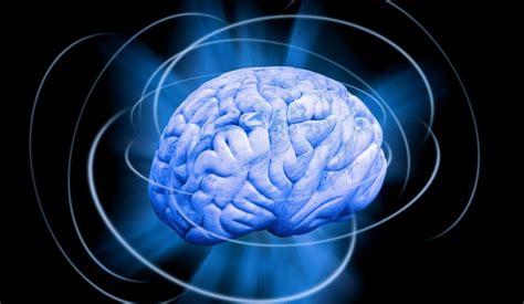 "脑-脑连接"最新资讯 | 量子位