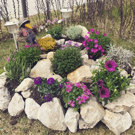 How To Grow Rockery Plants at Aaron Battye blog