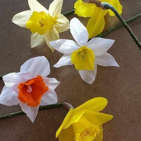 DAFFODIL PAPER FLOWER CLASS at Arts on Main, Arts on Main, Gloucester ...