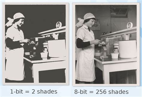 Image result for Bit Depth Microscope