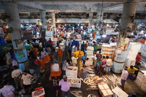 The Glorious Life Of Bombay Duck From Sea To Table