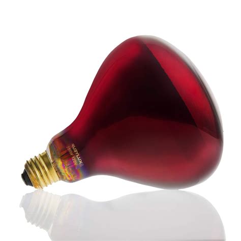 RubyLux Infrared Bulb NIR-A Near Infrared Individual Bulb: Amazon.in ...