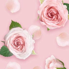 Cherry Blossom & Tea Rose Body Lotion - 190ml