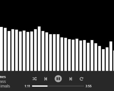 Audio Player With Visualizer For Vue.js | VueJs Component