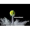 TENNEX Premier Cricket Hard Tennis Ball for Over Arm Cricket | Heavy ...