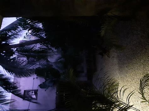 LUM HOSTAL (Tulum) - Hostel Reviews & Photos - Tripadvisor