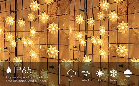 Buy fizzytech 25 Led Lotus Flower Decoration Lights Plug in Fairy ...