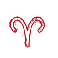 Aries PNG Image No Background Free Download (6) - Photo #6705 - BiNps ...