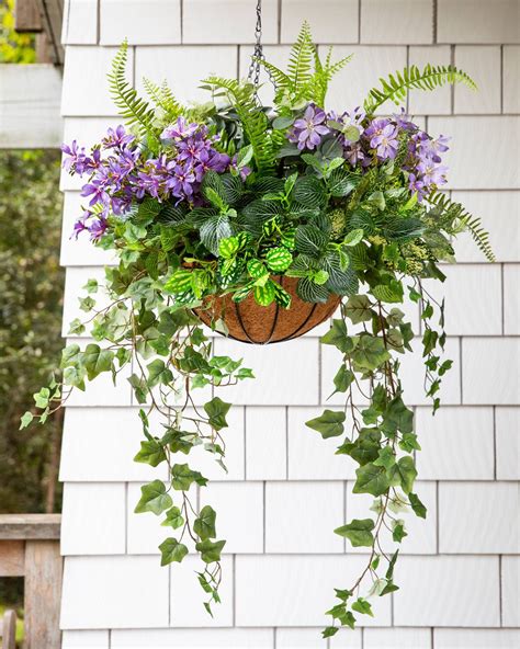 Planting Ideas For Hanging Baskets at Robert Fabry blog