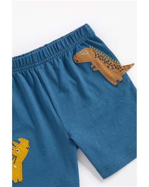 Buy Boys Short Sleeves Shorts Set Dino Printed-Pack of 2-Multicolor ...