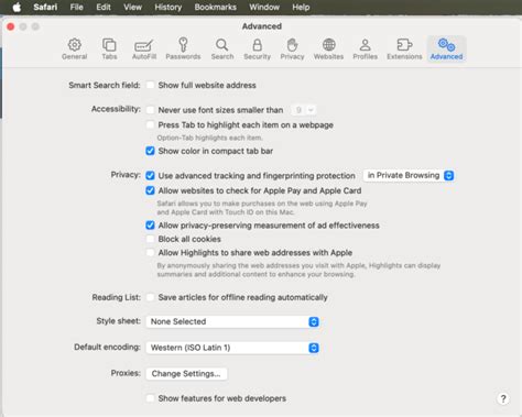 Browser Source 的图像结果