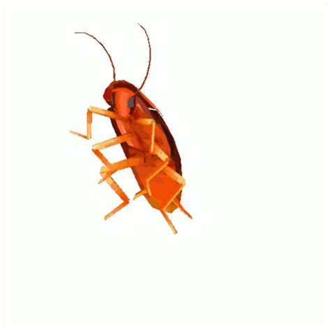 Dancing Cockroach 的图像结果