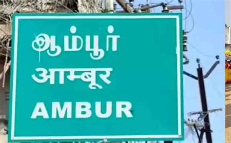 யானை துரத்தி வந்ததில் ஆடு மேய்க்கும் தொழிலாளி கீழே விழுந்து படுகாயம்!