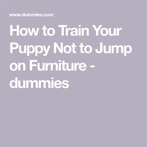 youtube how to train a puppy not to jump