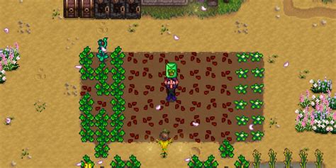 Tips And Tricks To Boost The Foraging Skill In Stardew Valley
