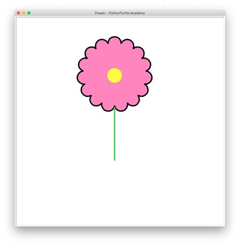 Image result for Flower Draw Python Turtle