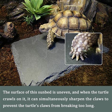 Buy SHIGATSU Reptile Basking Platform Rock, Tortoise Slate Feeding Dish ...