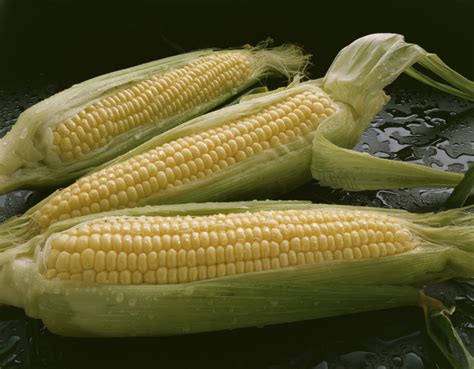 Nutritional Content of a Medium-Size Corn on the Cob | Healthfully