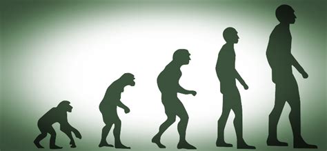 Image result for First Humans