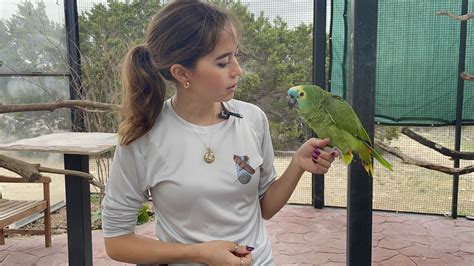 How a Texas sanctuary uses social media to highlight animal ...