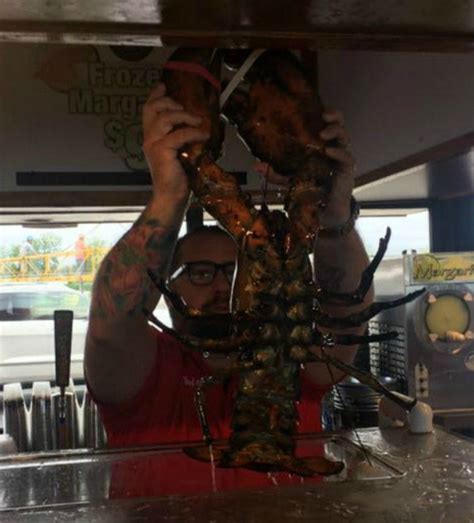 In Lobster Week, A Seafood Restaurant 'Pardons' A 132-Year-Old Lobster ...