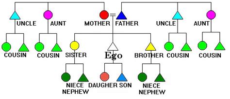Lineage and Descent - Sociology Optional for UPSC (Notes) PDF Download