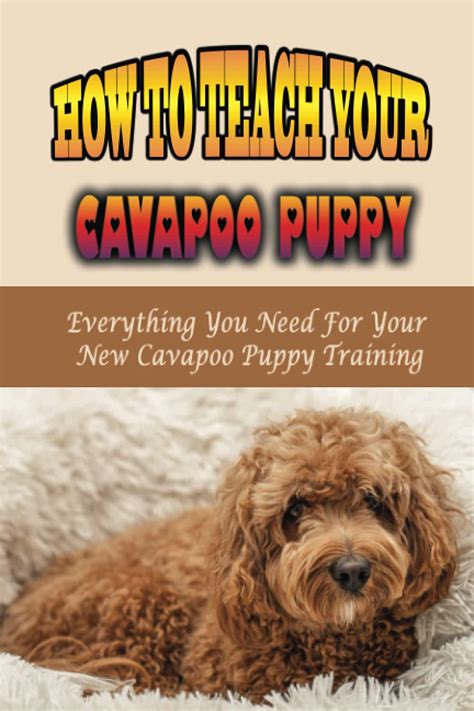 Buy How To Teach Your Cavapoo Puppy: Everything You Need For Your New ...