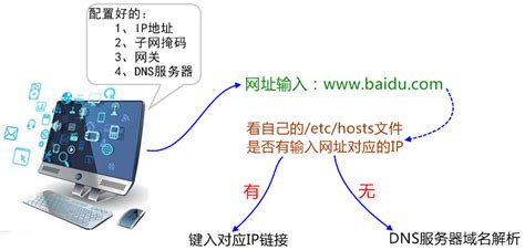 DNS域名解析的过程 - GeaoZhang - 博客园